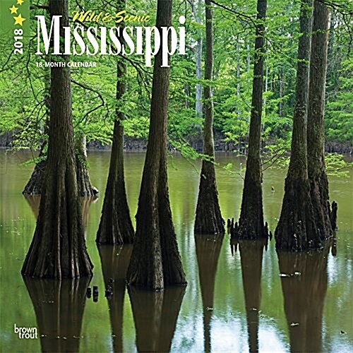 2018 Mississippi, Wild & Scenic Wall Calendar (Wall)