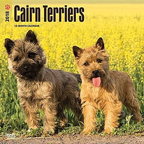 2018 Cairn Terriers Wall Calendar (Wall)