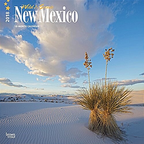 2018 New Mexico, Wild & Scenic Wall Calendar (Wall)