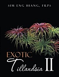 Exotic Tillandsia II (Paperback)