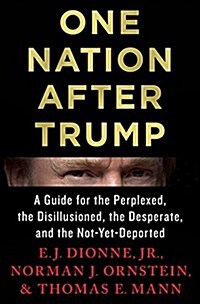 One Nation After Trump: A Guide for the Perplexed, the Disillusioned, the Desperate, and the Not-Yet Deported (Hardcover)