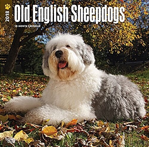 2018 Old English Sheepdogs Wall Calendar (Wall)