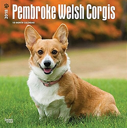 2018 Welsh Corgis, Pembroke Wall Calendar (Wall)