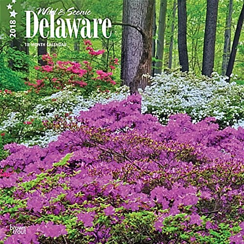 2018 Delaware, Wild & Scenic Wall Calendar (Wall)