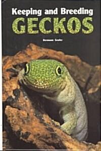 Keeping and Breeding Geckos (Hardcover)