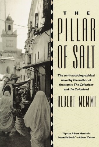 The Pillar of Salt (Paperback)