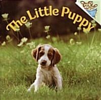 The Little Puppy (Paperback)