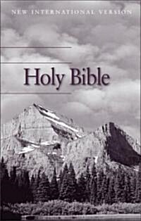 The Holy Bible (Hardcover)