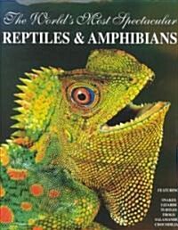 The Worlds Most Spectacular Reptiles & Amphibians (Hardcover)