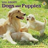 [중고] All About Dogs and Puppies (Paperback)