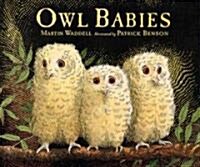 Owl Babies (Hardcover)