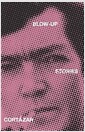 Blow-Up: And Other Stories (Paperback)