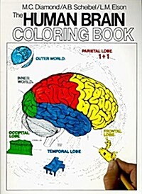 [중고] The Human Brain Coloring Book (Paperback)