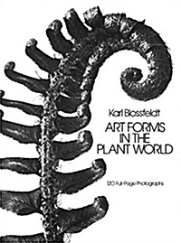 Art Forms in the Plant World (Paperback)