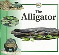The Alligator (Paperback)