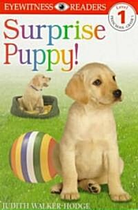 [중고] Surprise Puppy (Paperback)