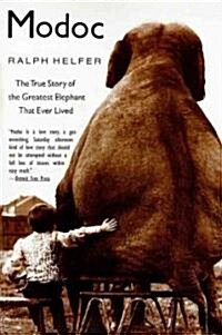 [중고] Modoc: The True Story of the Greatest Elephant That Ever Lived (Paperback)