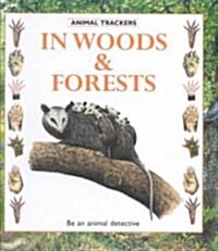 In Woods and Forest (Library)