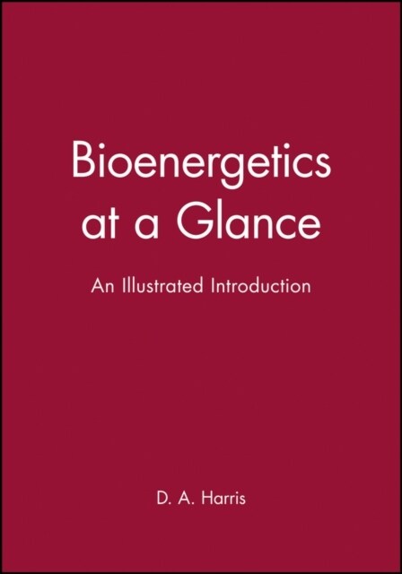 Bioenergetics at a Glance: An Illustrated Introduction (Paperback)