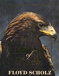 Birds of Prey (Hardcover)