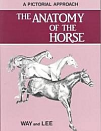 Anatomy of the Horse (Paperback)