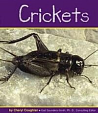 [중고] Crickets (Library)