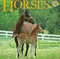Horses: An Abridgement of Harold Roths Big Book of Horses (Paperback)