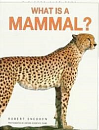 What Is a Mammal? (Paperback)