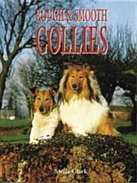 Rough and Smooth Collies (Hardcover)