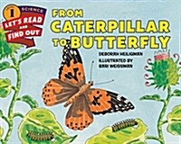 From Caterpillar to Butterfly (Hardcover)
