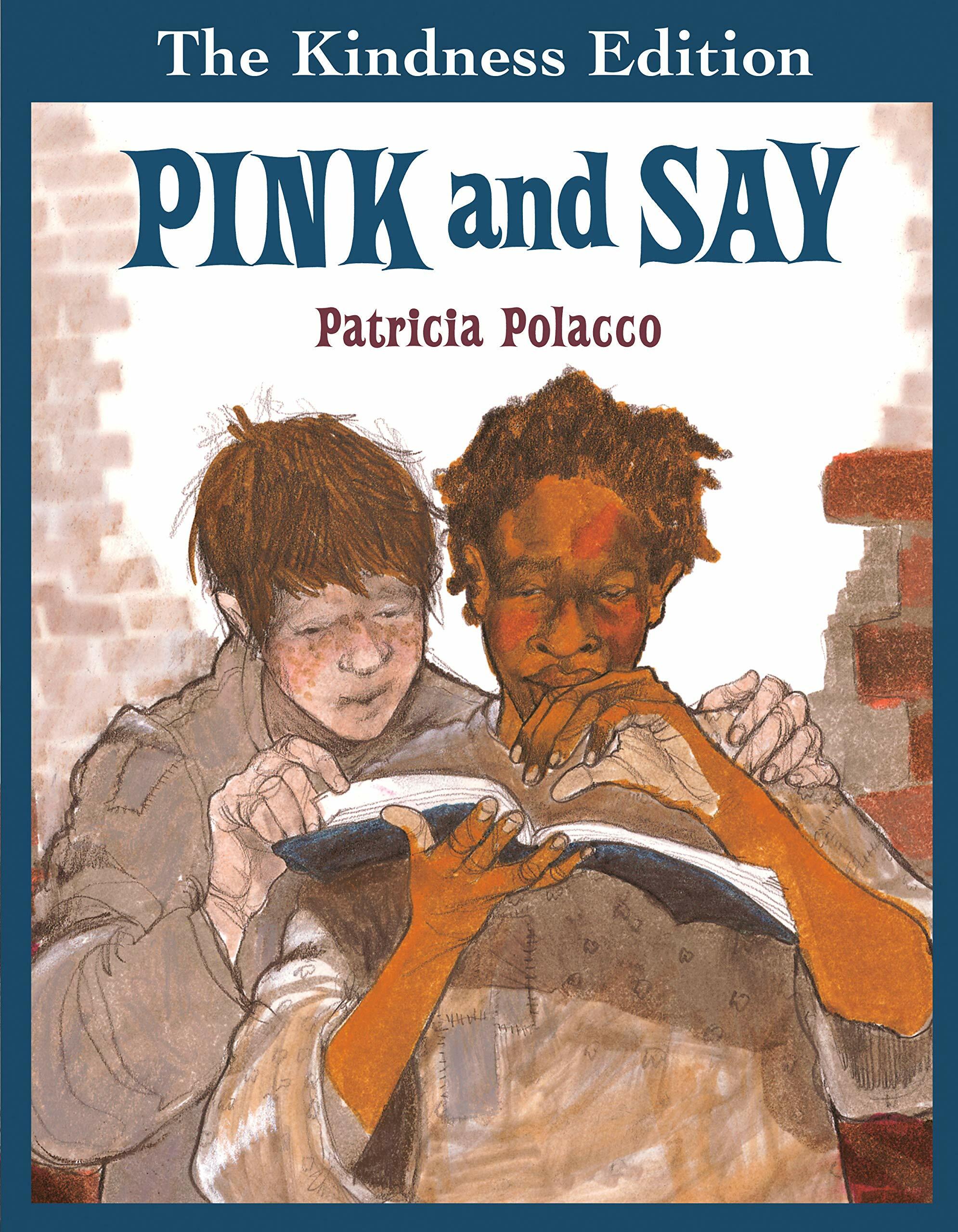 Pink and Say (Hardcover)