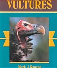 Vultures (Paperback)