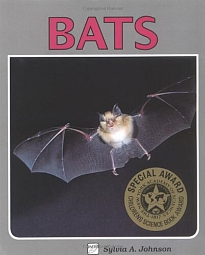 Bats (Paperback)