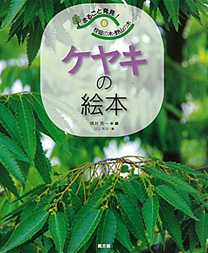 ケヤキの繪本 (大型本)