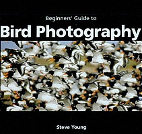 An Essential Guide to Bird Photography (Paperback)