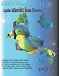 Gods Blueprint of Life: Little Miracles from Heaven (Paperback)