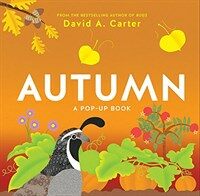 Autumn : a pop-up book