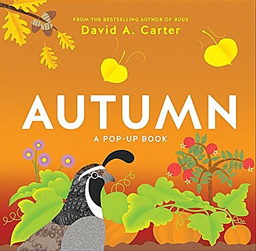 Autumn: A Pop-Up Book (Hardcover)