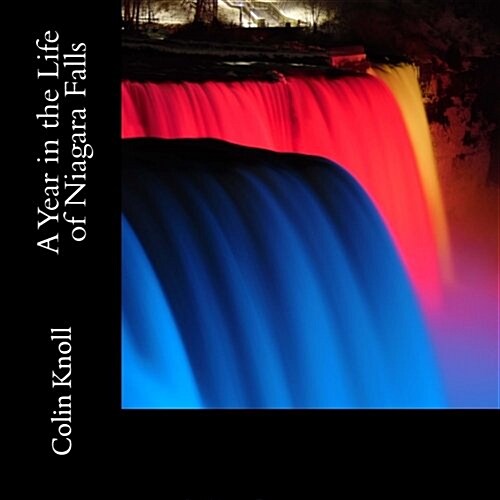 A Year in the Life of Niagara Falls (Paperback)