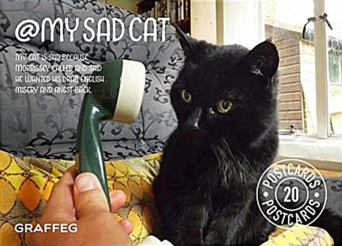 My Sad Cat Postcard Pack (Record book)