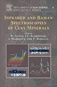 Infrared and raman spectroscopies of clay minerals