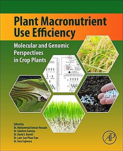 Plant Macronutrient Use Efficiency: Molecular and Genomic Perspectives in Crop Plants (Paperback)