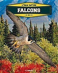 Falcons (Library Binding)