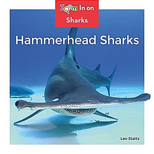 Hammerhead Sharks (Library Binding)