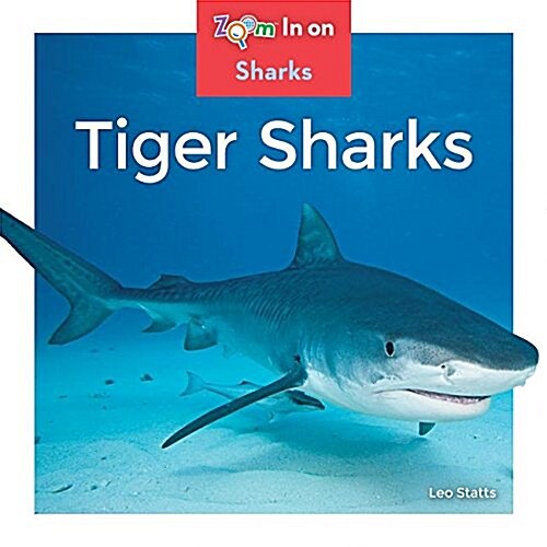 Tiger Sharks (Library Binding)