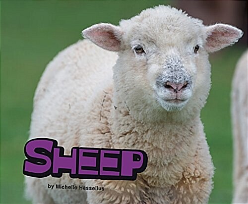 Sheep (Paperback)