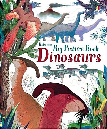 Big Picture Book Dinosaurs (Hardcover, UK)