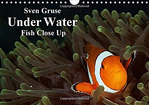 Sven Gruse Under Water - Fish Close Up 2018 : Enjoy the Impressive Underwater World (Calendar, 4 ed)