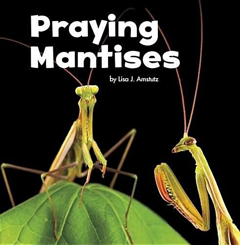 PRAYING MANTISES (Hardcover)