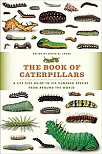 The Book of Caterpillars: A Life-Size Guide to Six Hundred Species from Around the World (Hardcover)